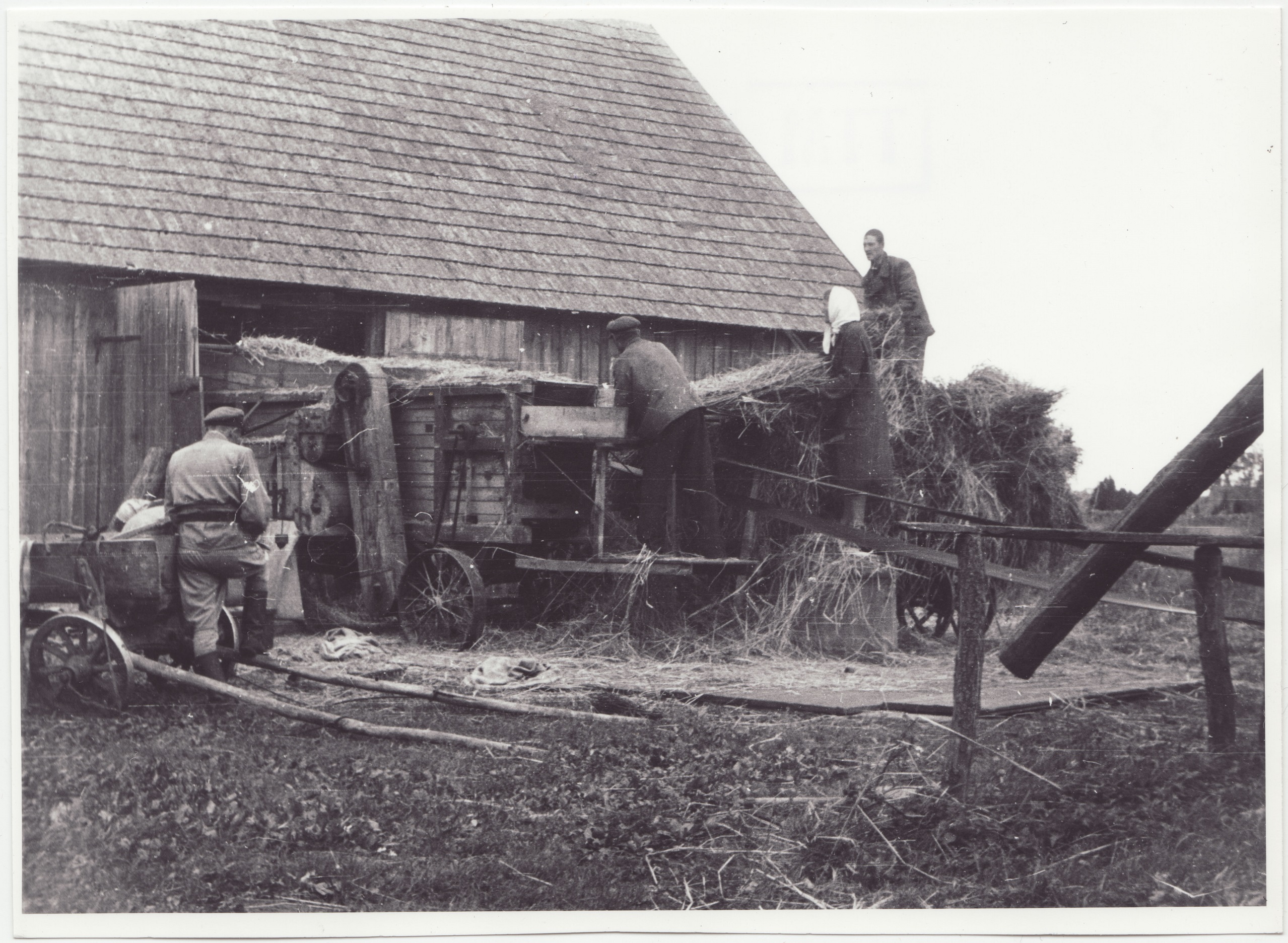 Tuletõrjekool Lihula rajooni Lembitu kolhoosi abistamas:  vilja masindamisel, 1950.a.