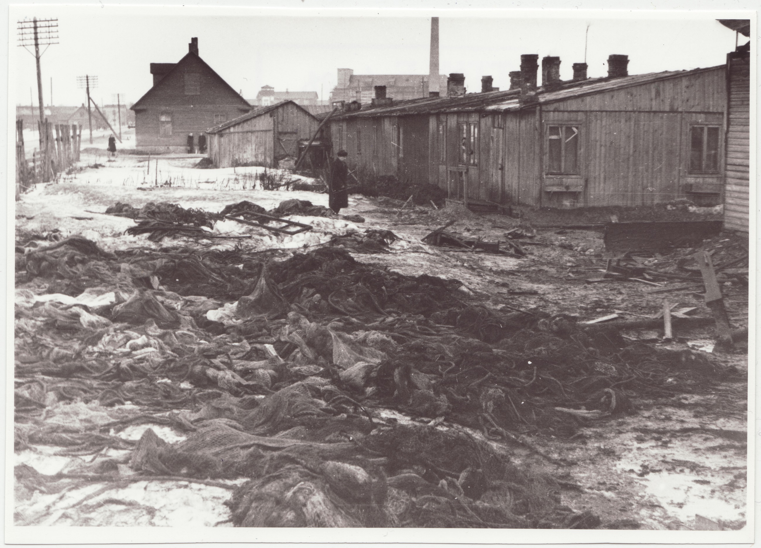 Tules hävinud puukuuride jäänused Koplis, 1955.a.