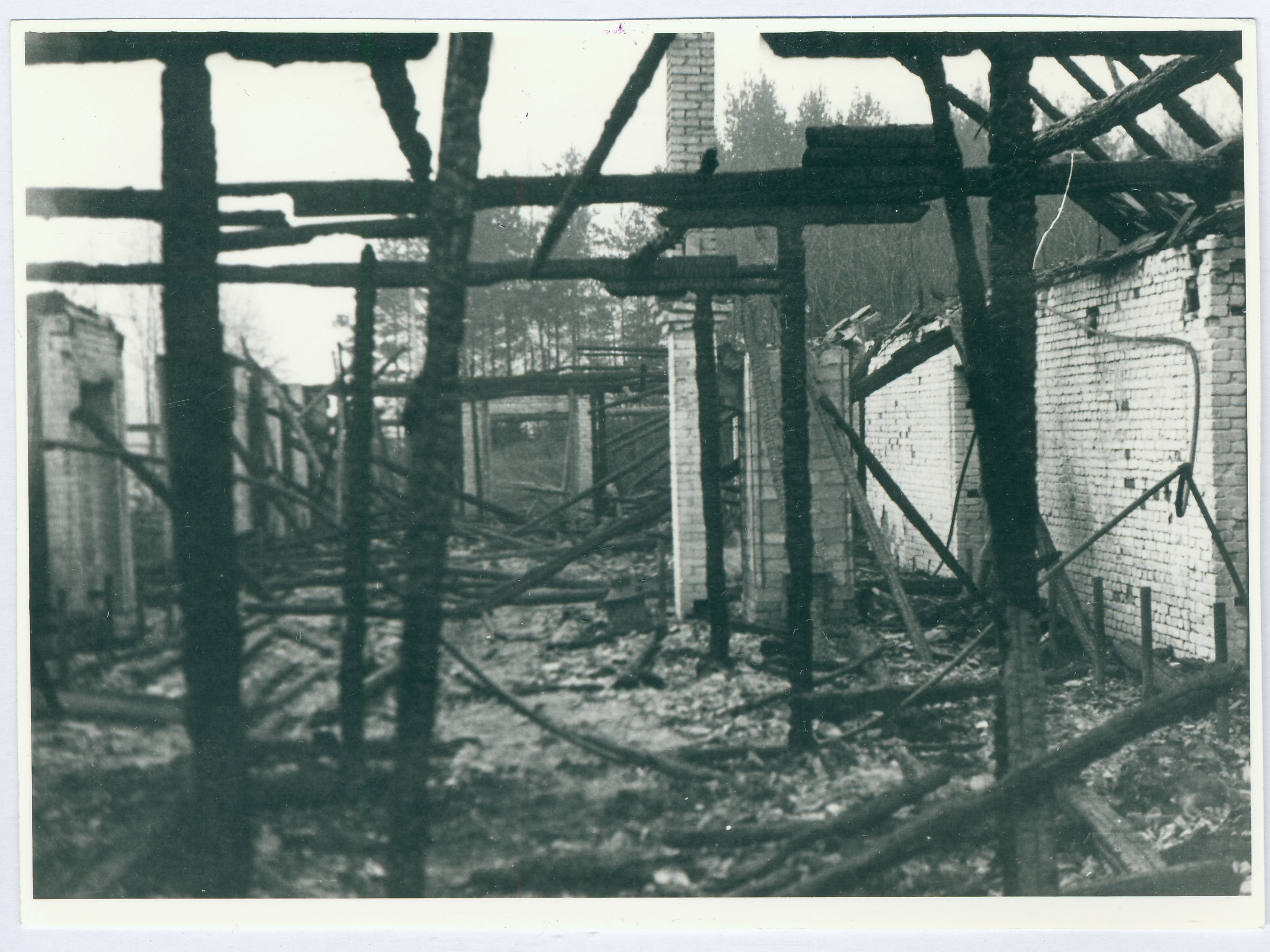 Tulekahju tagajärg Orumäe kolhoosis. Põlenud sigala sisevaade 1960.