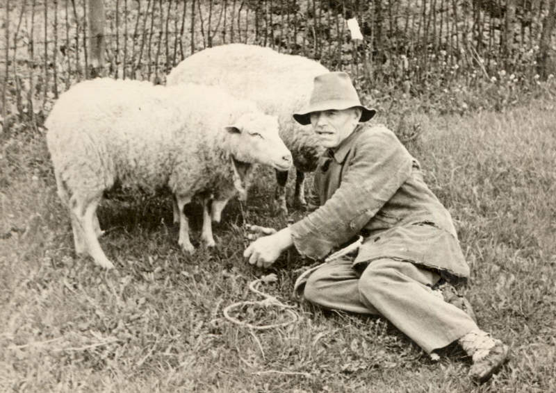Karl Norberg lammastega