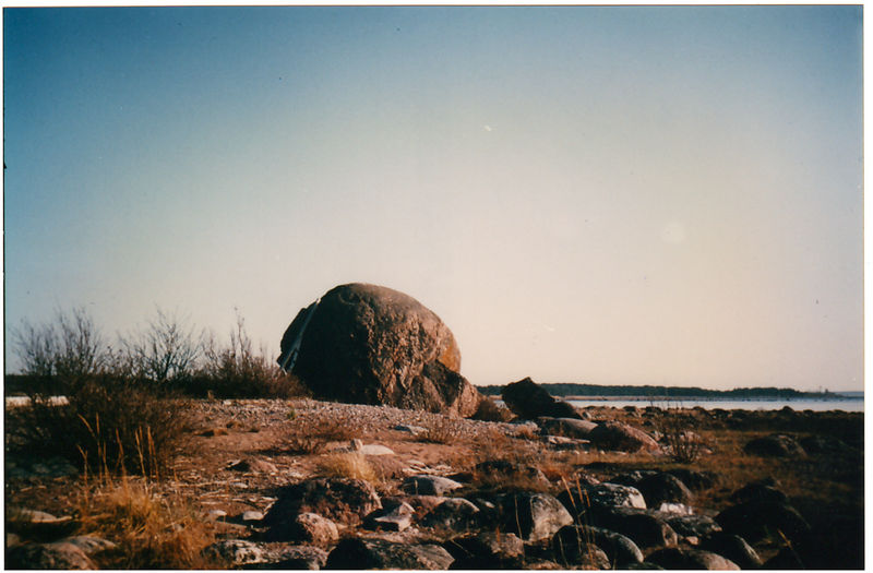 Kivi Purekari neemel