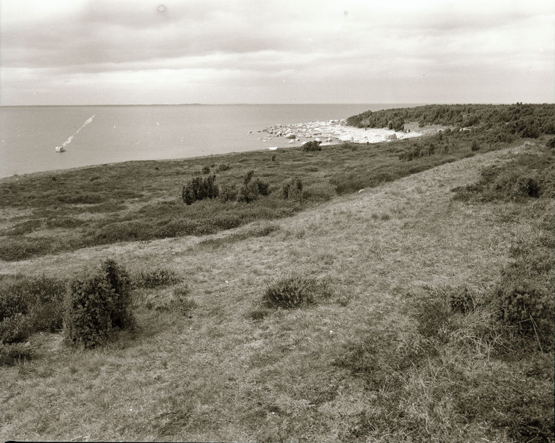 Koipsi saar