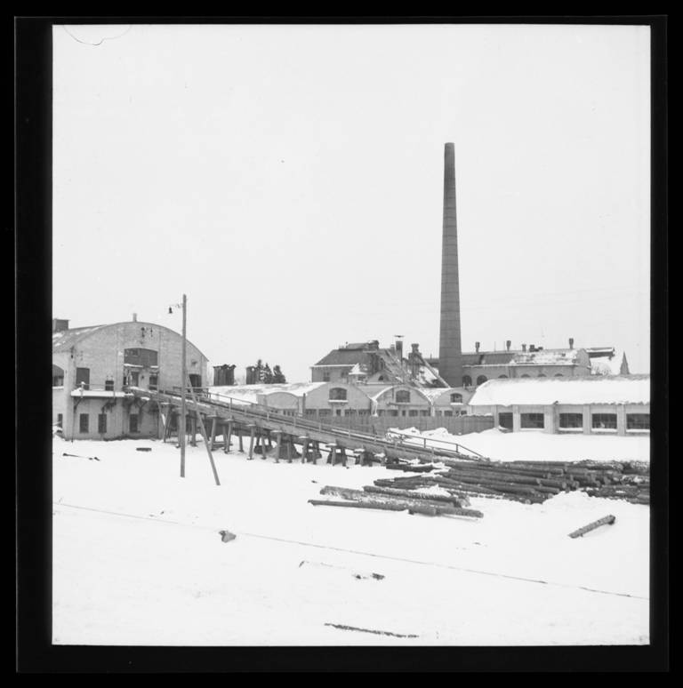 fotonegatiiv