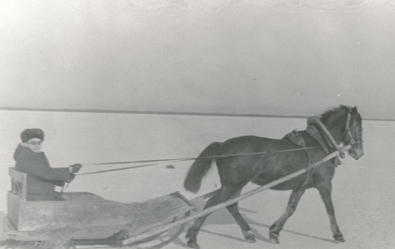 Foto. Talispordipäev Pullapääl. Foto V. Pärtel, varakevad 1983