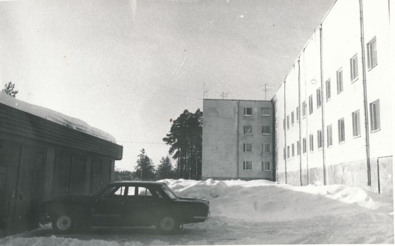 Foto. Lumerohke talv, hoone Tamme tn 21a. Foto V. Pärtel, 1981/1982