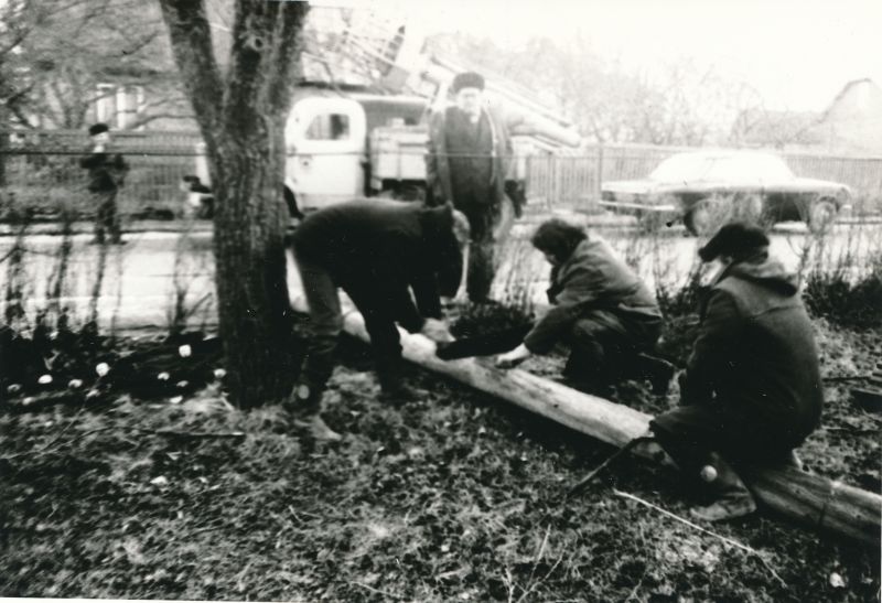 Foto. Tormikahjustuste likvideerimine. Foto V. Pärtel, 30.-31.12 1983
