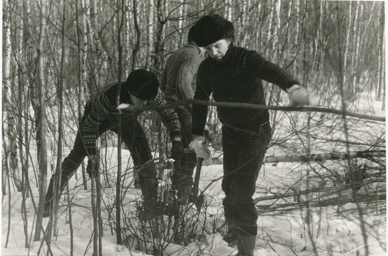 Foto. Haapsalu Sidesõlme laupäevak kevadel 1986. Liinitrassi Haapsalu-Pärnu puhastamine võsast. Hans Loorens, Heinar Matsberg.