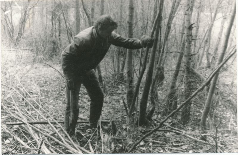 Foto. Läänemaa Sidesõlme töötajad Valgeväljal ehitusplatsi võsast ja metsast puhastamas kevadel 1991. Hans Loorens.