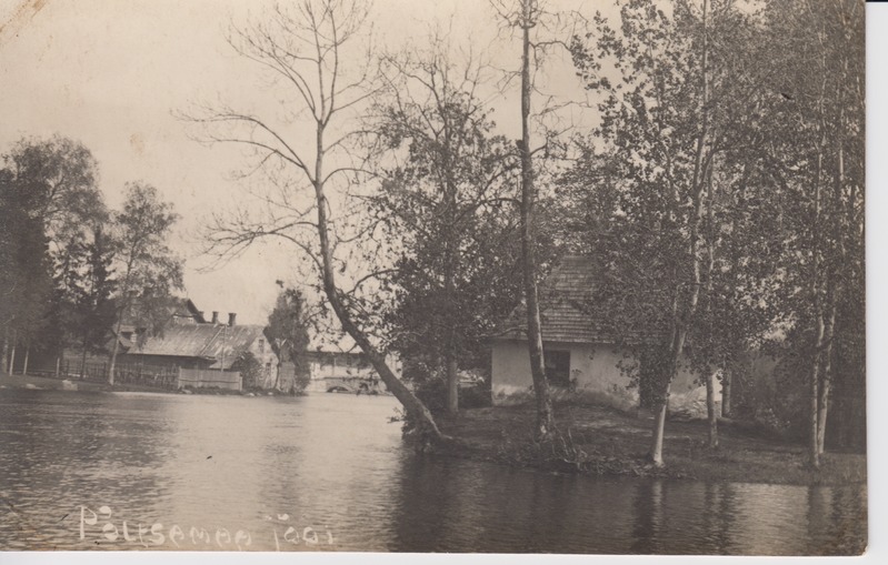 Põltsamaa jõgi, Saunasaar, Lilienfeldi majad, veski, Suur sild. Hiljemalt 1924. Foto August Mik