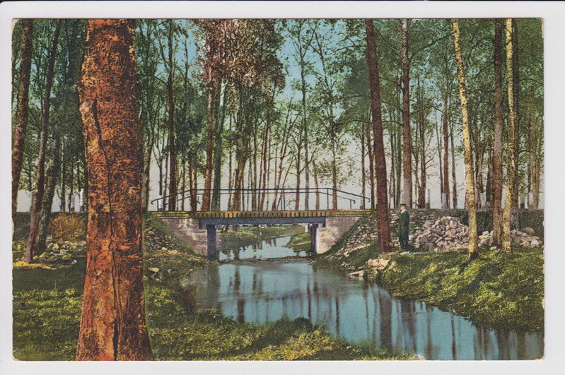 Sillake ojal