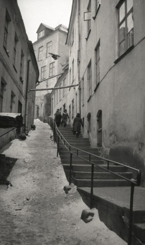 Lühike jalg Tallinna vanalinnas