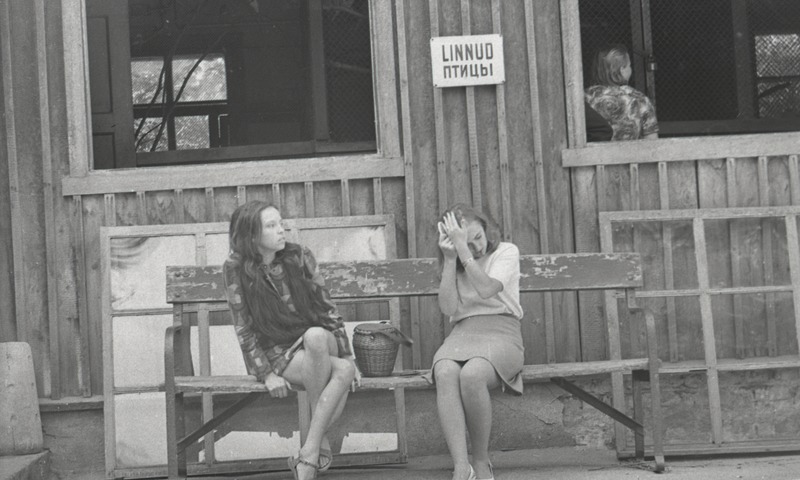 ETV telelavastuse “Armastus armastus” välivõtetel. Tallinna loomaaias linnumaja juures