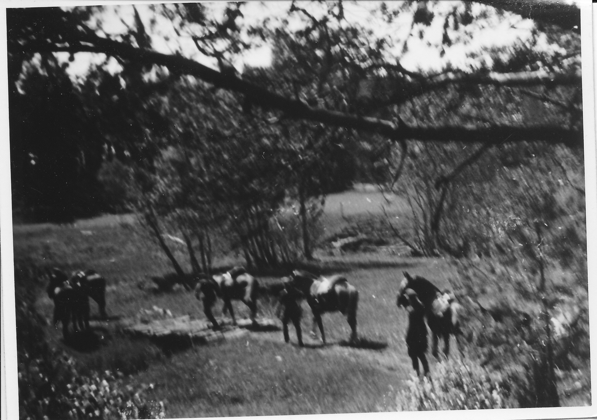 Eesti Vabariigi sõjavägi. 04.06.1940. Kodasoo as.