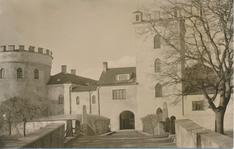 Koluvere loss