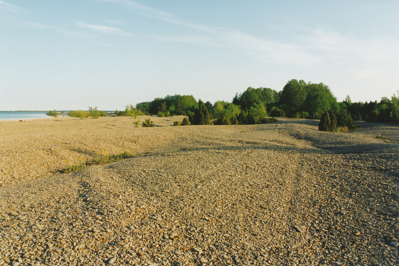 Kiviklibu (luited) Pakritel