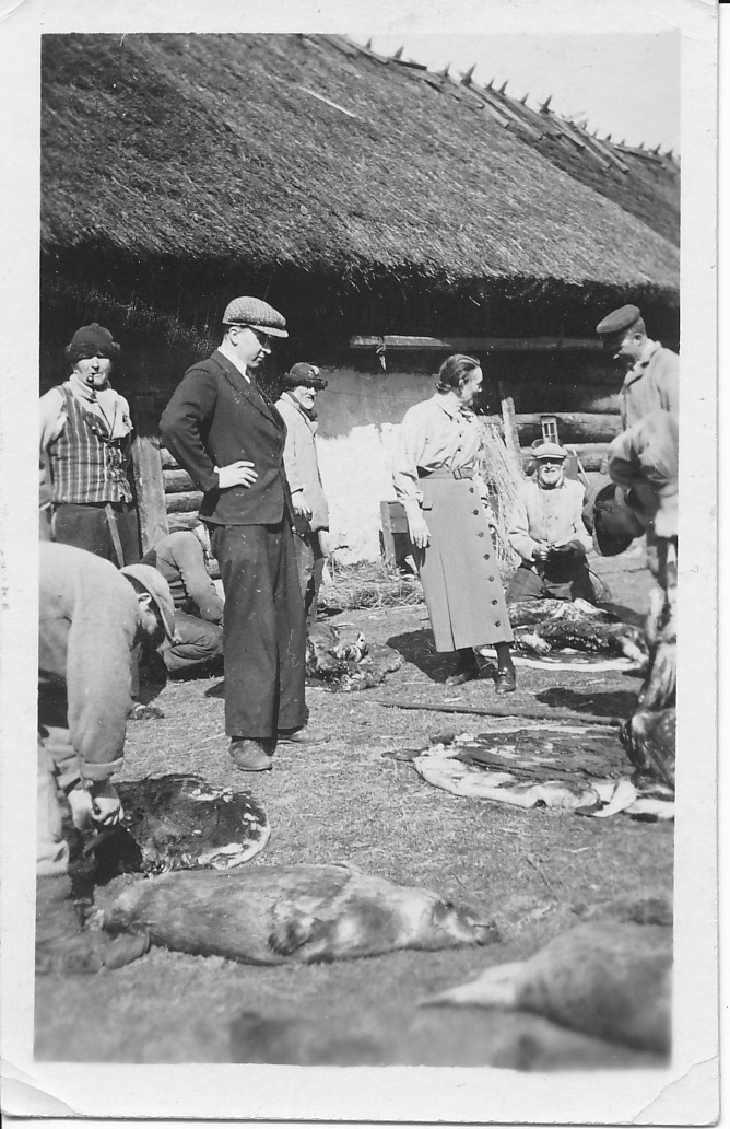 Hüljeste nülgimine Ruhnul