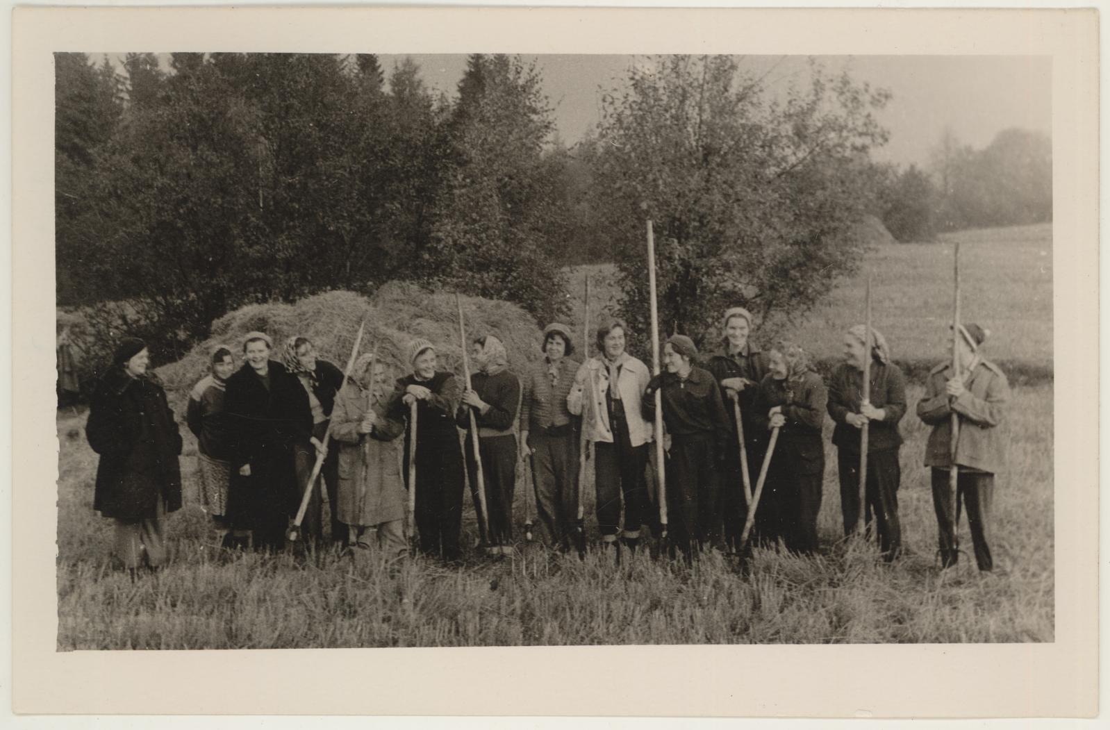 Tartu rajoonis Alatskivil "Koidu" kolhoosis 2.-4. okt. 1962. Kunstimuuseumi ja linnamuuseumi kollektiiv ühise perena enne tööle minekut.