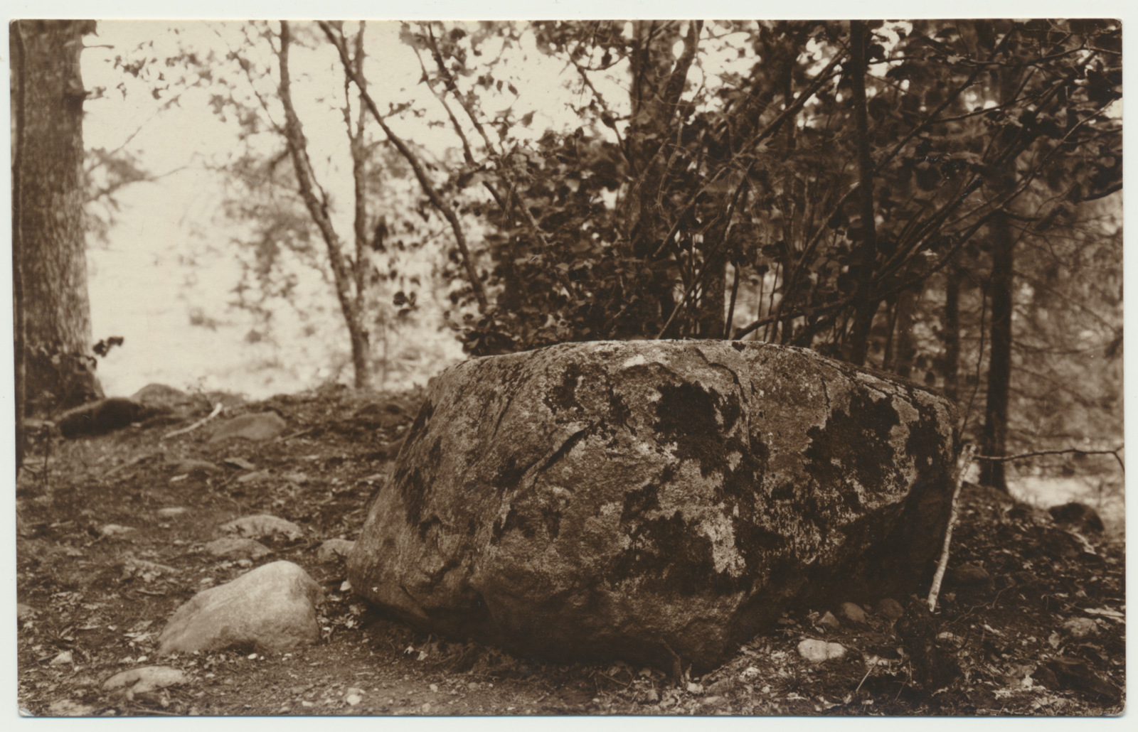foto, Viljandimaa, Lembitu linnamägi, ohvrikivi, u 1920