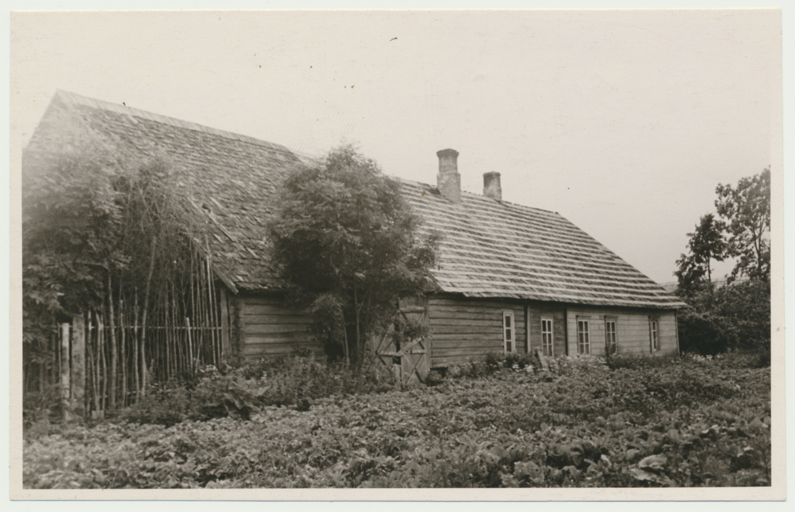 foto, Jaan Sihveri sünnitalu, Vana-Tänassilma vald, Sihvre talu, 1960, foto L. Vellema