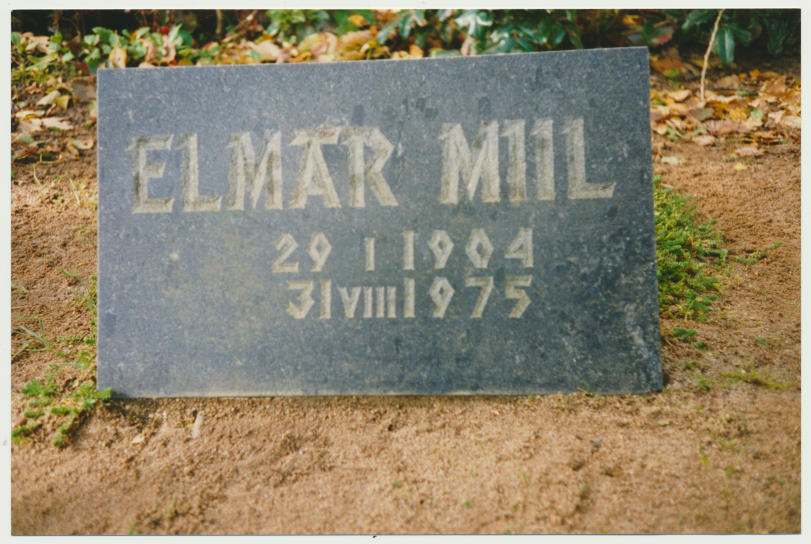 foto, Viljandi, Vana kalmistu, hauaplaat Elmar Miil, 1993, foto J. Pihlak, värviline