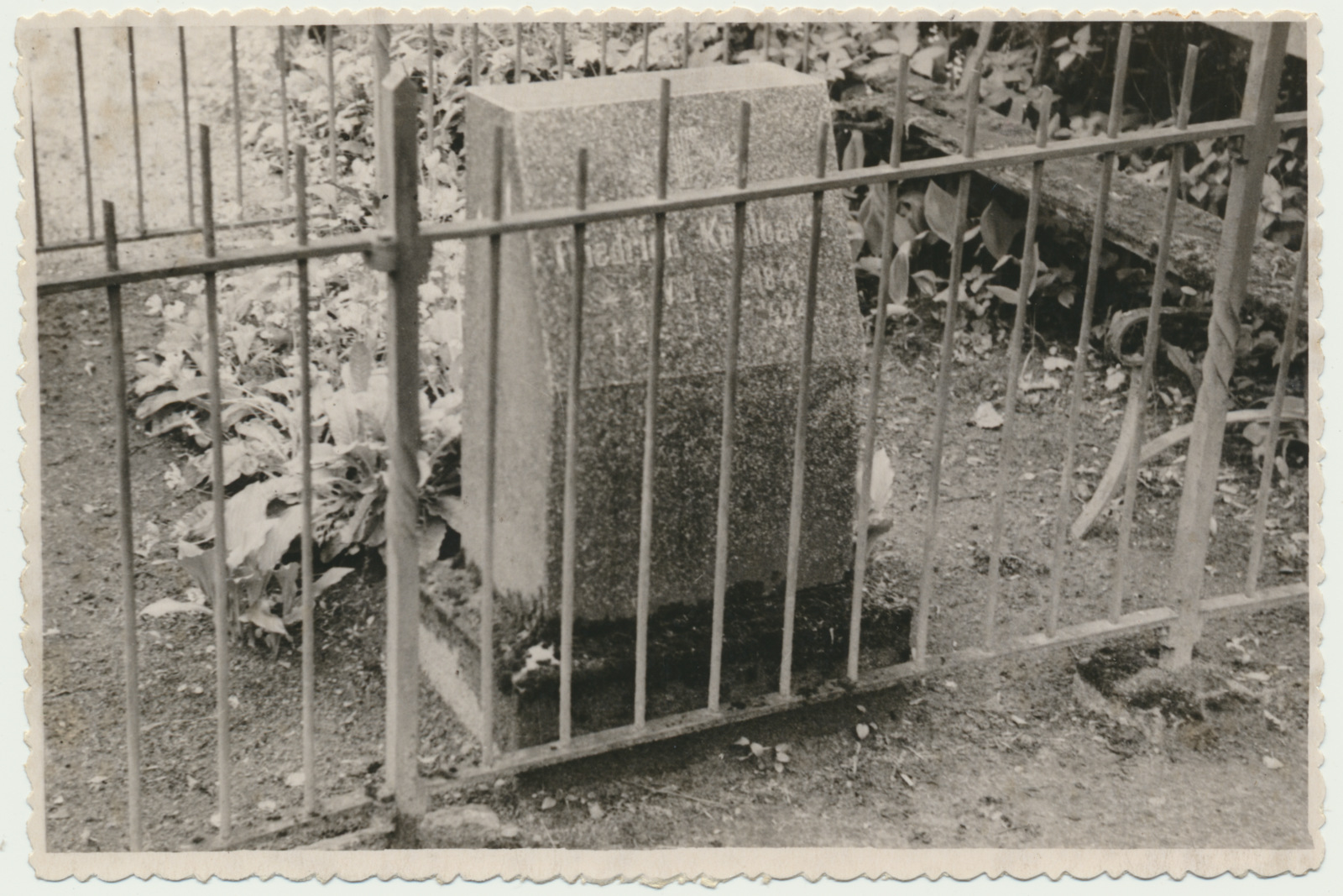 foto, Viljandi, Vana kalmistu, F. Kuhlbarsi hauaplats, 1957, foto A. Järvekülg
