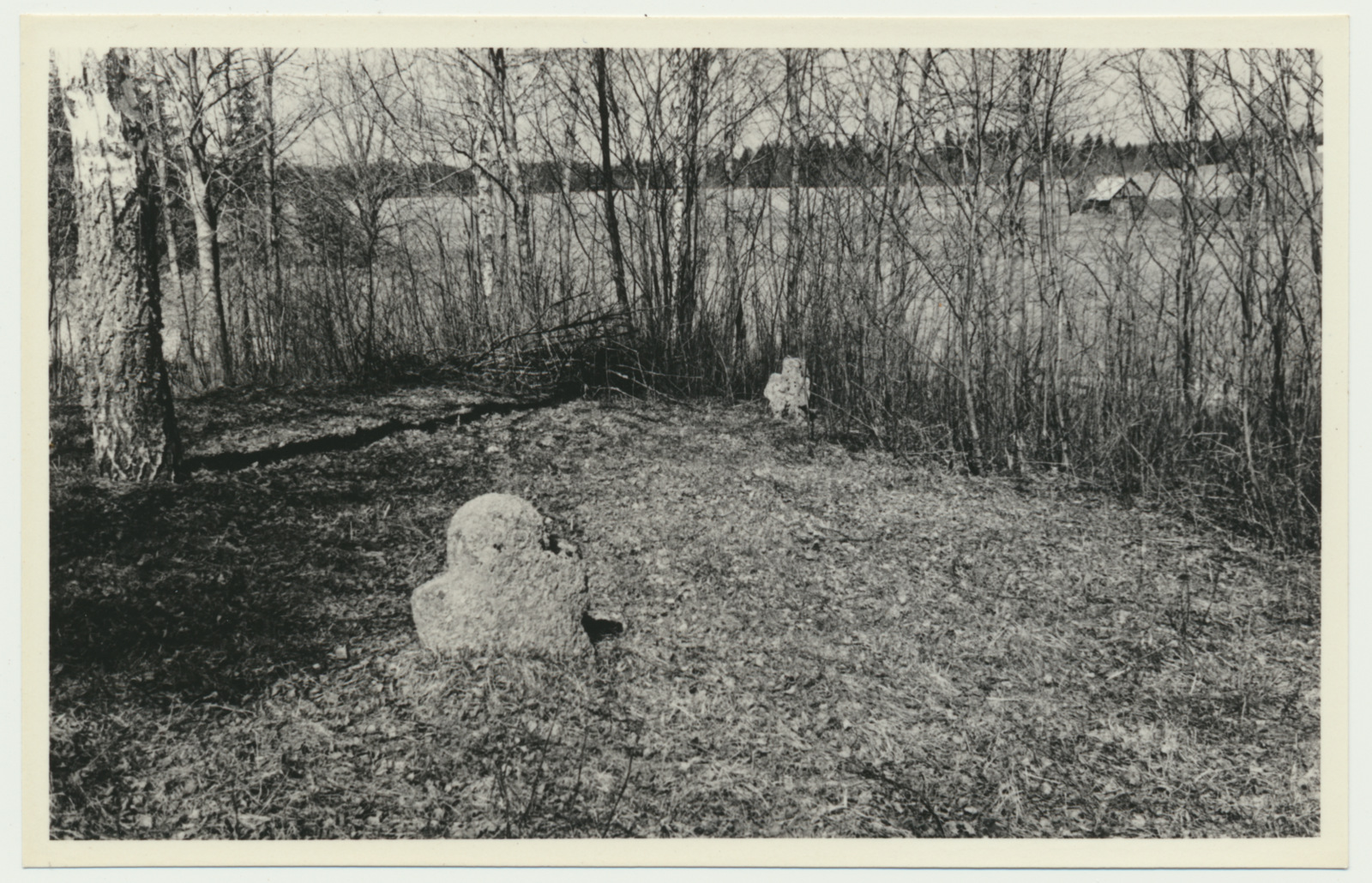 foto, Viljandimaa, Kalmetu talu, vana kalmistu, ristid, 1959