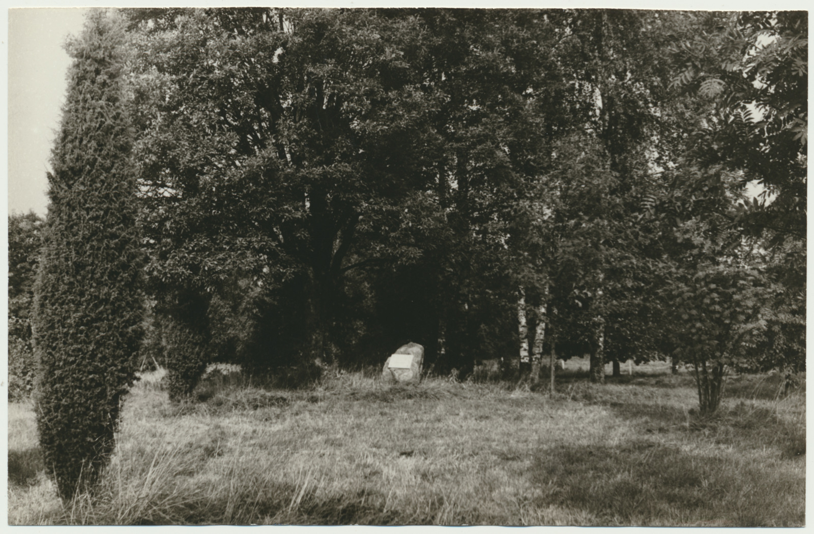 foto, Viljandimaa, Kõõbra talu, mälestuskivi J. Kölerile, u 1970, foto L. Vellema