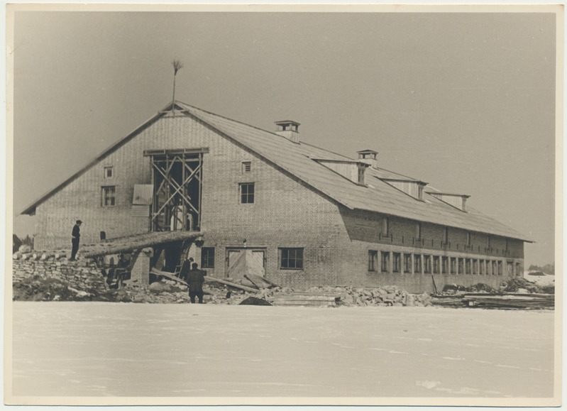 foto, Viljandimaa, Võhma sovhoosi sigala, 1959, foto L. Vellema