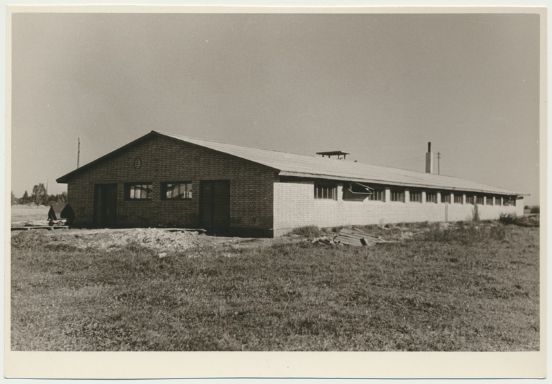 foto, Viljandimaa, Mustla sovhoos, veiselaut, 1962, foto L. Vellema