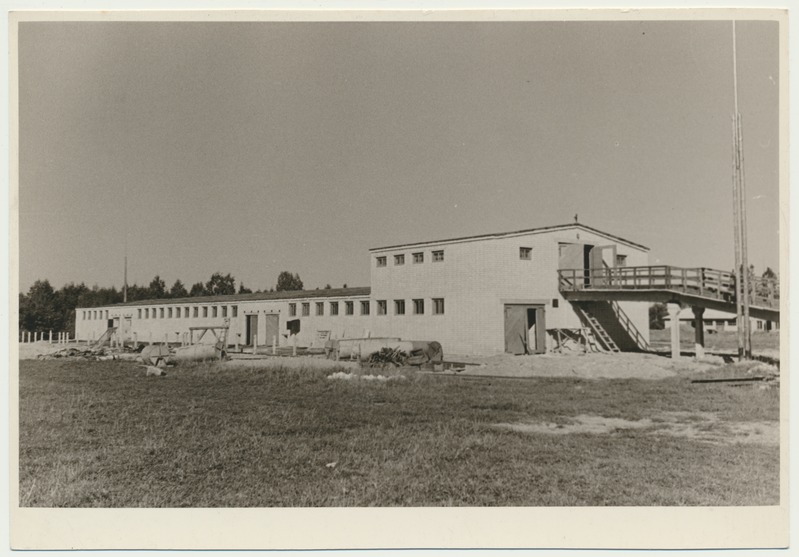foto, Viljandimaa, Mustla sovhoos, sigala, 1963, foto L. Vellema