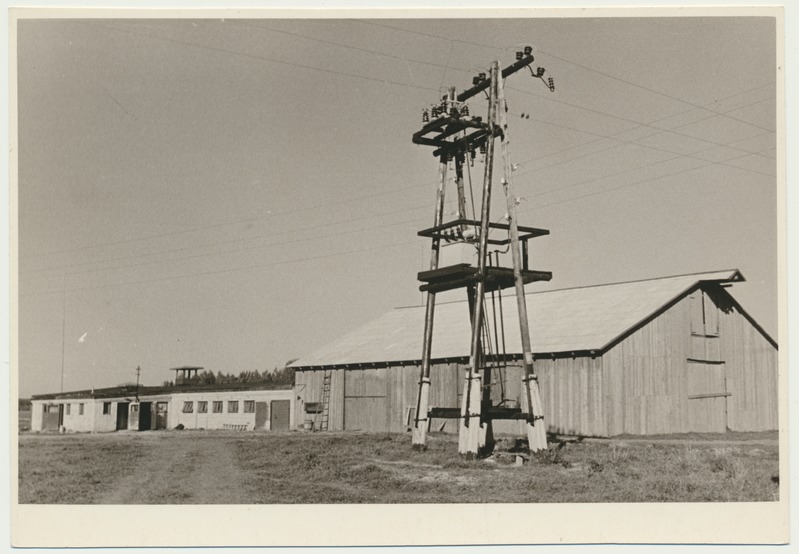 foto, Viljandimaa, Mustla sovhoos, Roossilla karjalaut, 1963, foto L. Vellema