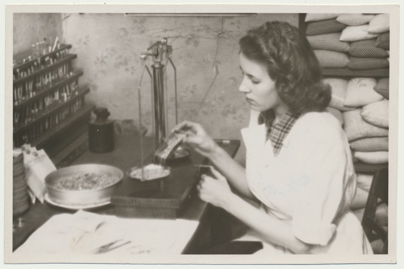 foto, Viljandi, seemnekontrolli ja taimekaitse inspektsioon, 1950