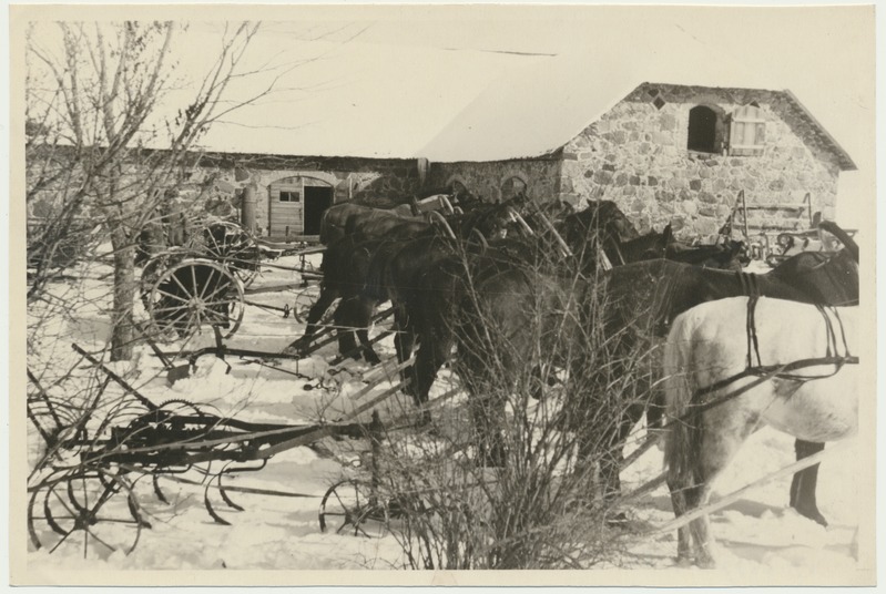 foto, Viljandimaa, kolhoos Sinialliku, kevadine ülevaatus, 1949, foto A. Vanamõis