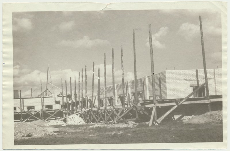 foto, Viljandimaa, Viiratsi sovhoos, karjalauda ehitus, 1950