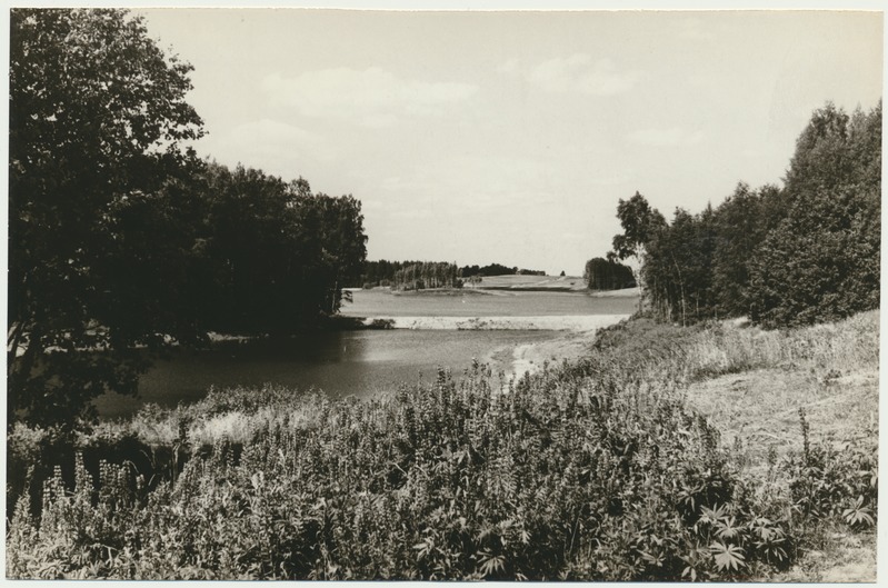 foto, Viljandimaa, Äriküla, veehoidla Lopa ojal, 1975, foto L. Vellema