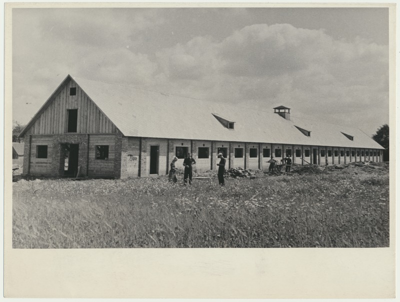 foto, Valgamaa, kolhoos Võidu Tee, karjalaut, ehitus, u 1960