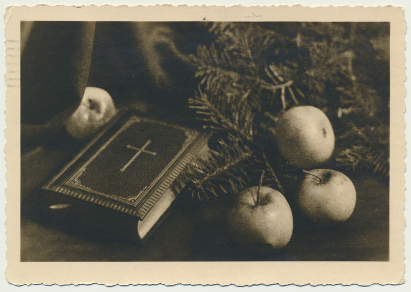 fotopostkaart piibel, kuuseoks, õunad