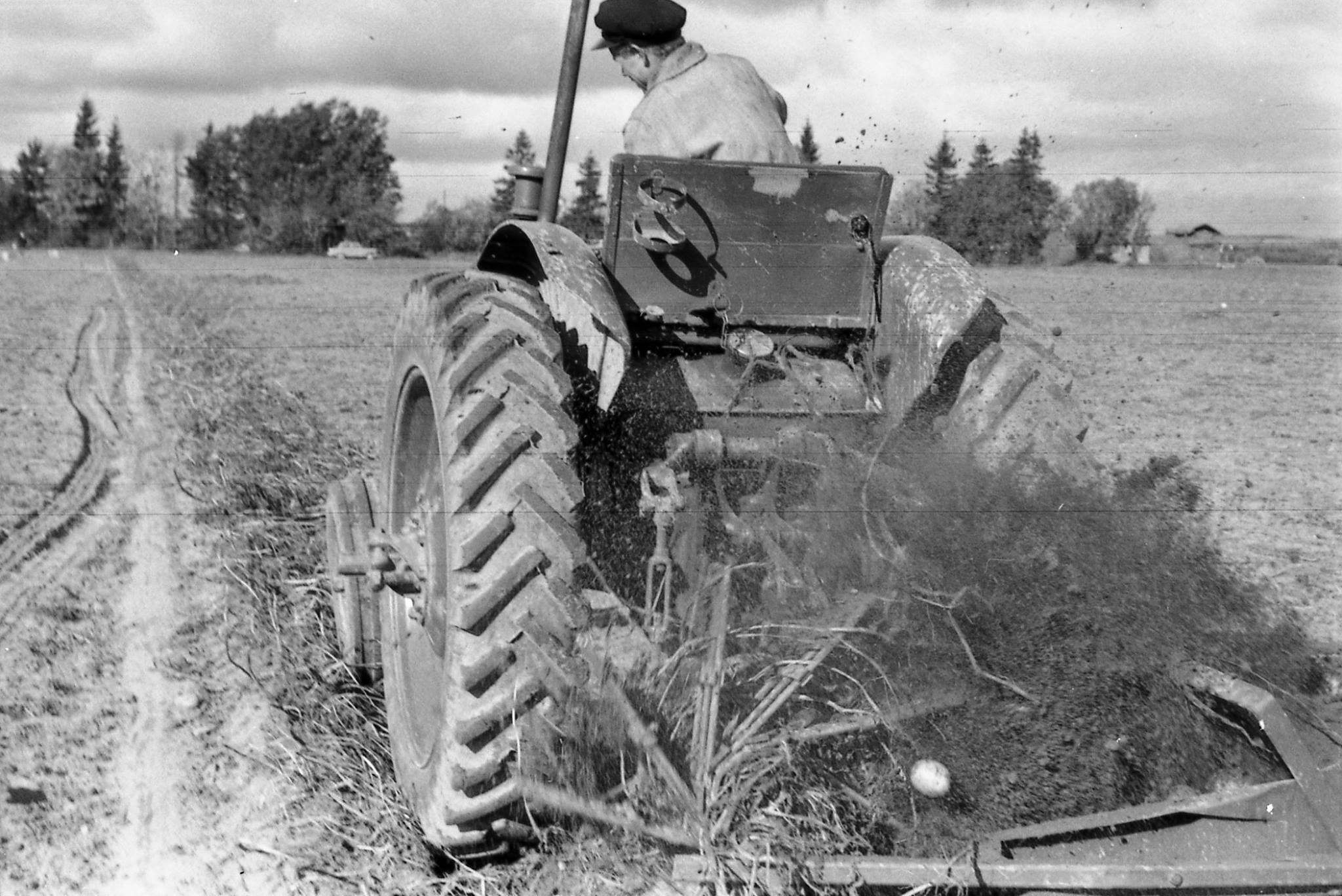 Kartulivõtt on Radio