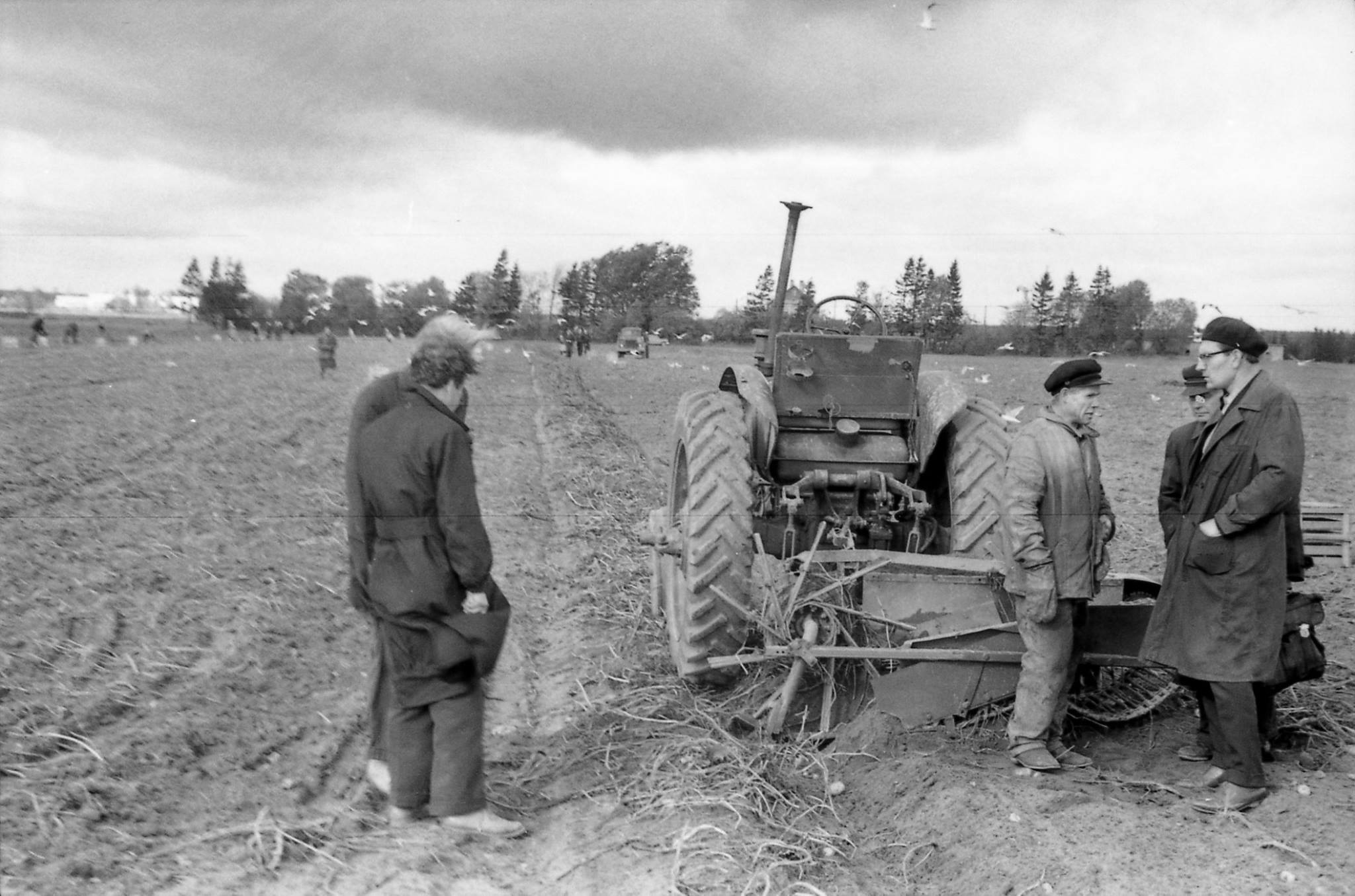 Test of the cardboard sensor