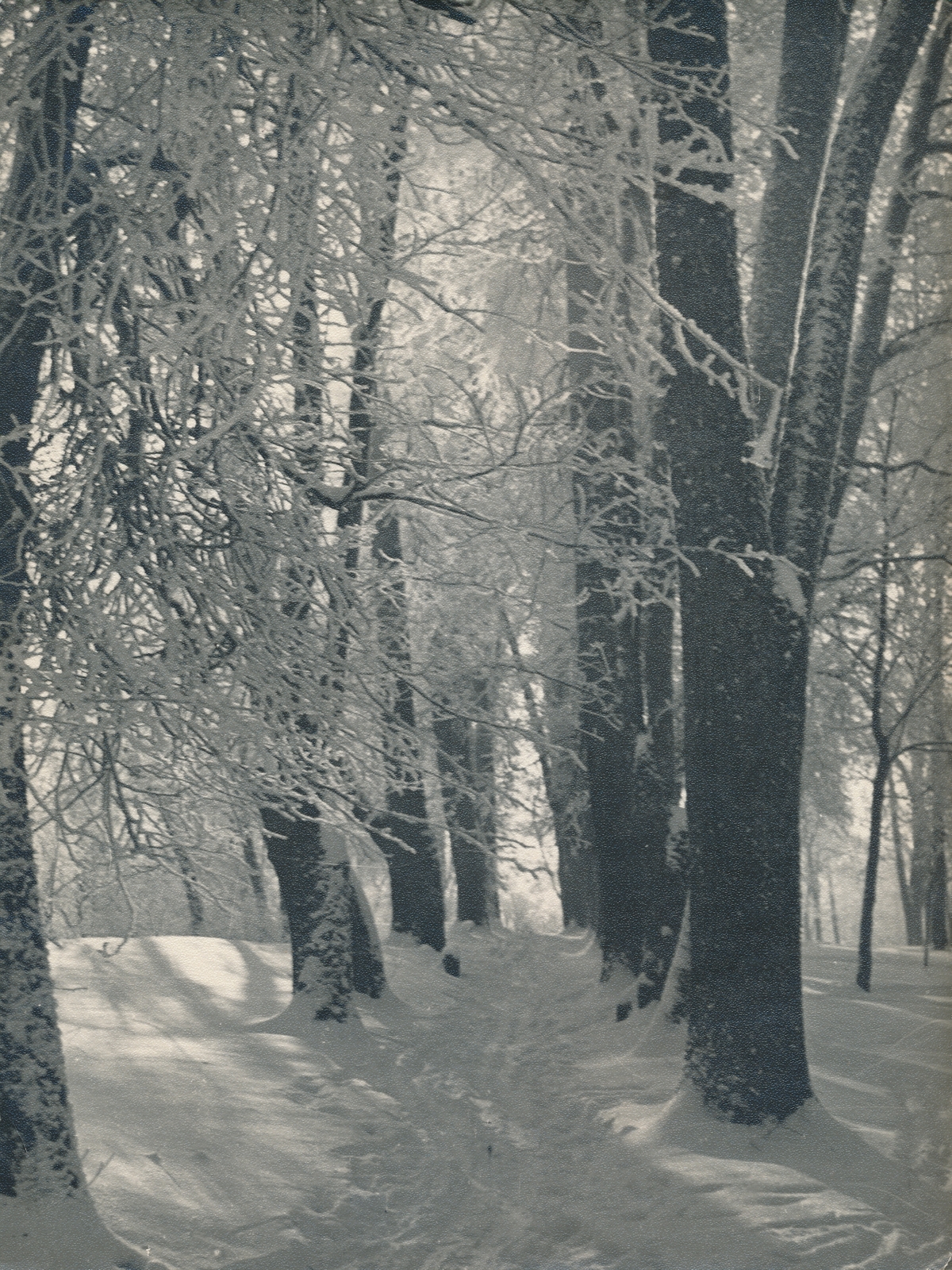foto, Viljandi, Filosoofia allee, u 1960