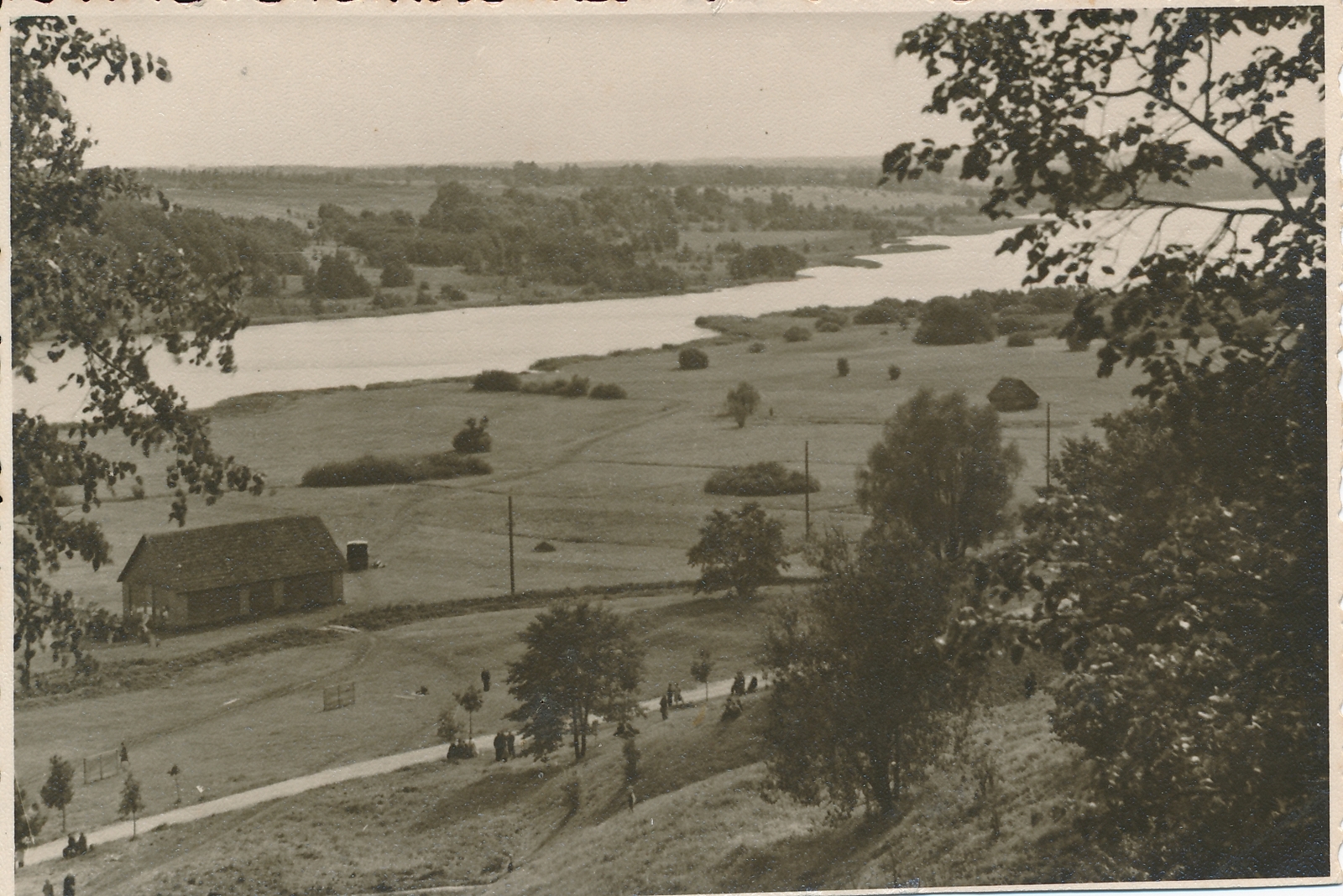 foto, Viljandi, järv, heinamaa, u 1935