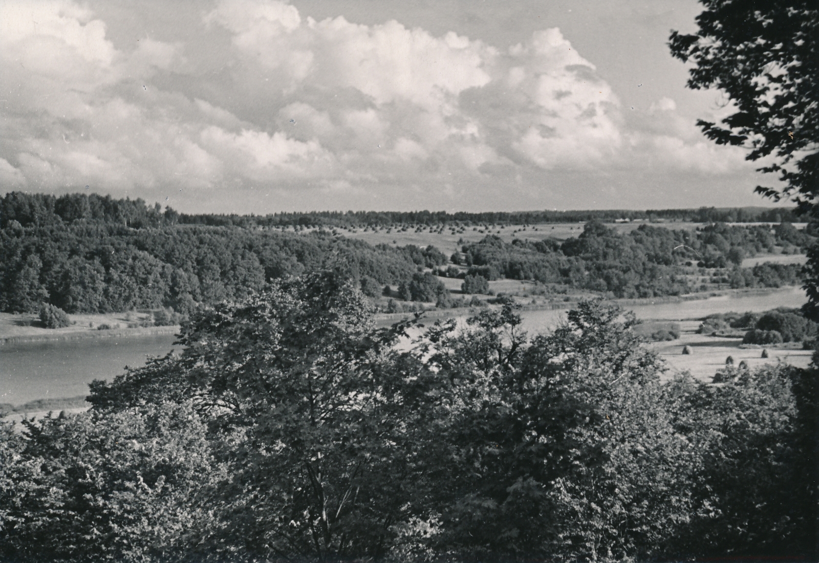 foto, Viljandi, järv, heinamaa, 1960, foto A. Kiisla