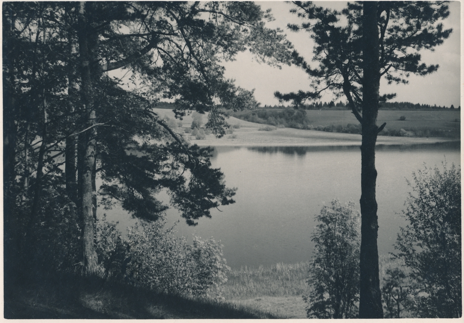 foto, Viljandi, järv, u 1960, foto A. Hunt
