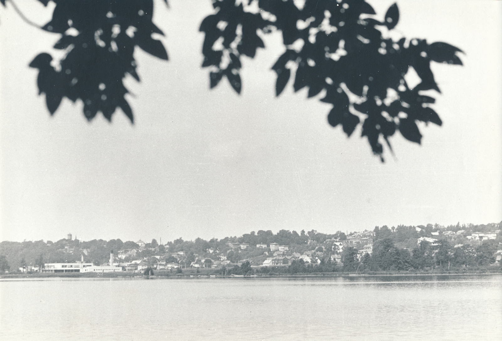foto, Viljandi, järv, linn, 1983, foto K. Kuusk
