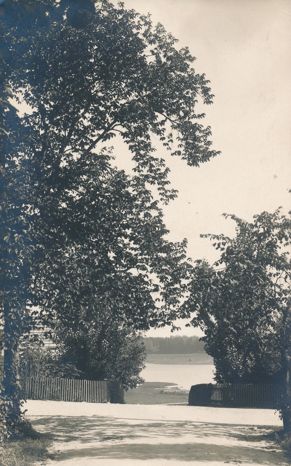 foto, Viljandi, Trepimägi, algus, u 1920, foto J. Hallikas ja M. Teng