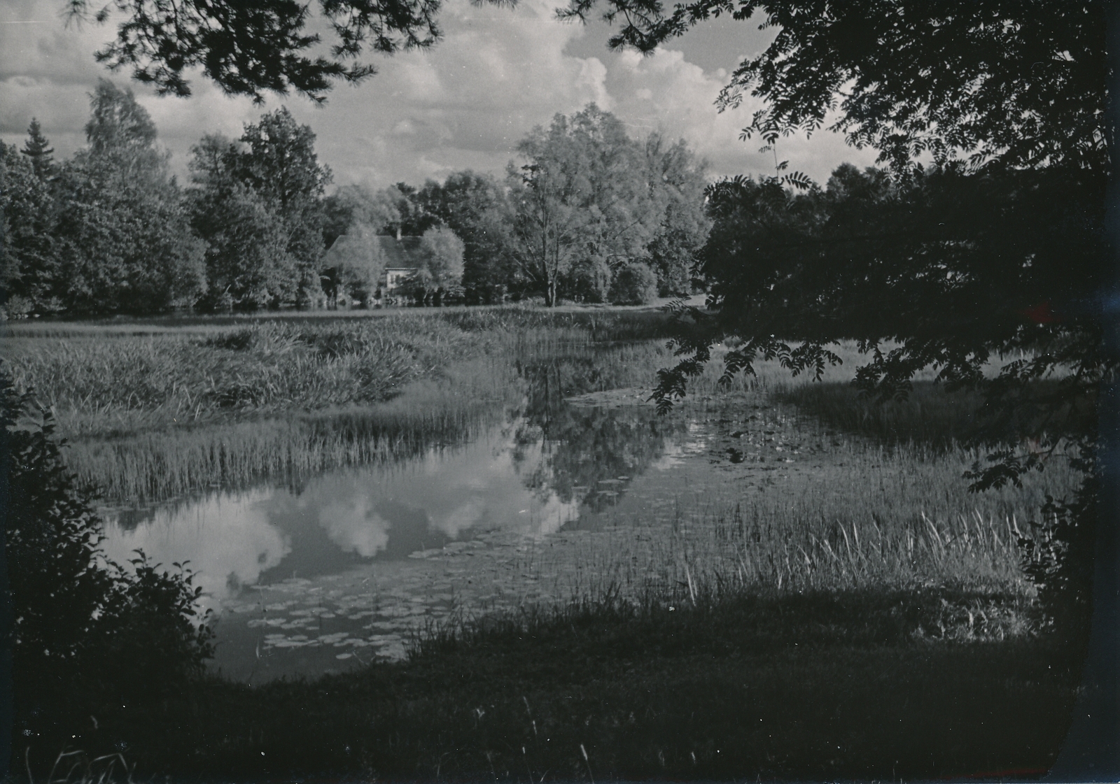 foto, Viljandi, Uueveski järv, 1960, foto A. Kiisla