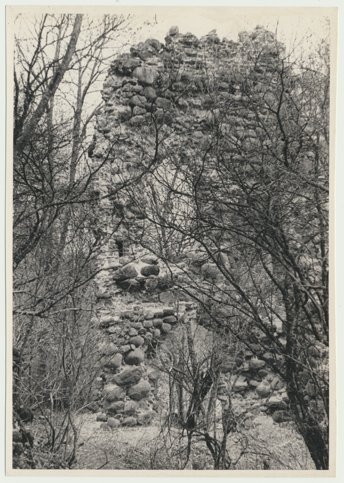 foto, Viljandimaa, Tarvastu lossivaremed, u 1970