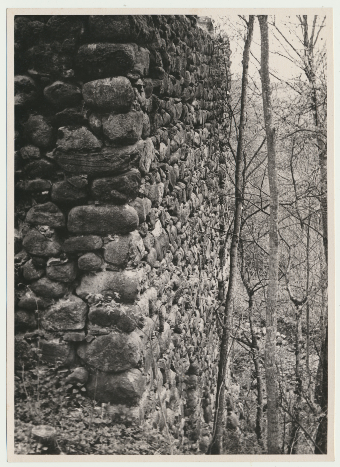 foto, Viljandimaa, Tarvastu lossivaremed, väravatorn, müür, u 1970