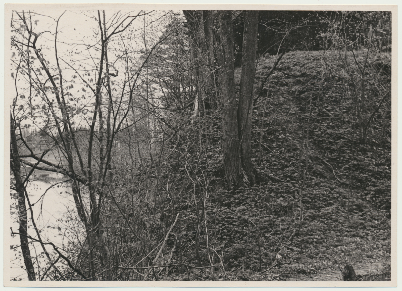 foto, Viljandimaa, Tarvastu lossivaremed, jõgi, u 1970