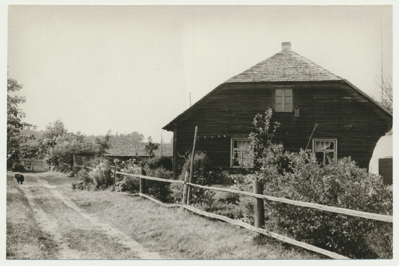 foto, Viljandimaa, Ivaski küla, Lubjassaare talu, u 1970, foto L. Vellema